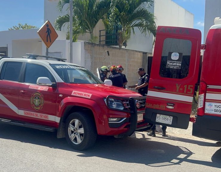 Hoy se vivió un ataque de perros en Mérida que dejó heridos graves que requirieron de hospitalización.