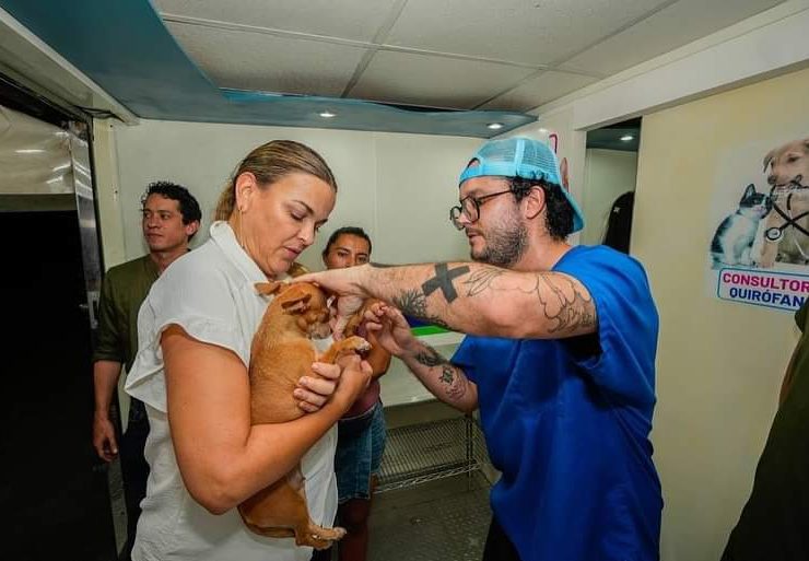 Arranca la ``Ruta del Bienestar Animal´´: Esterilización y atención gratuita en tu colonia