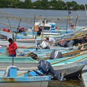 Una de las innovaciones más importantes implementadas en esta administración ha sido el censo digital de pescadores y embarcaciones, con el cual se ha logrado recopilar información precisa y actualizada sobre los trabajadores del mar y sus herramientas de trabajo.