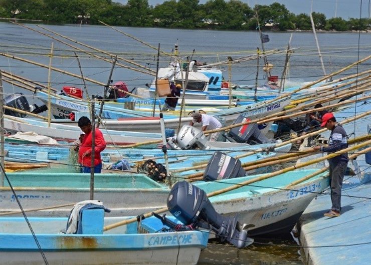 Una de las innovaciones más importantes implementadas en esta administración ha sido el censo digital de pescadores y embarcaciones, con el cual se ha logrado recopilar información precisa y actualizada sobre los trabajadores del mar y sus herramientas de trabajo.
