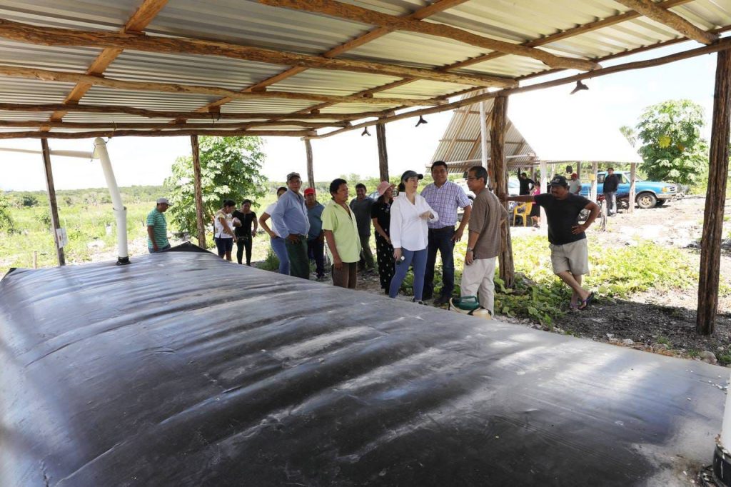 Alianza Gobierno del Estado-Japón permitió la instalación de 20 sistemas captadores de agua de lluvia