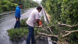 Bajo la supervisión de la Presidenta Municipal de Mérida Cecilia Patrón, inicio el operativo ``Calle por Calle´´, para atender los reportes de la ciudadanía, tras el paso del Huracán Milton. 