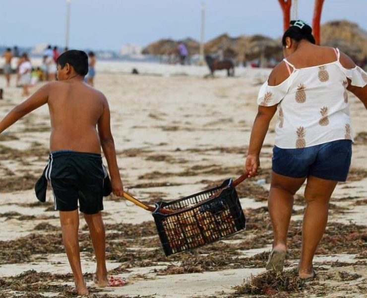 ¡Inesperado regalo del mar! En Sisal recolectan caracoles tras el paso de Milton