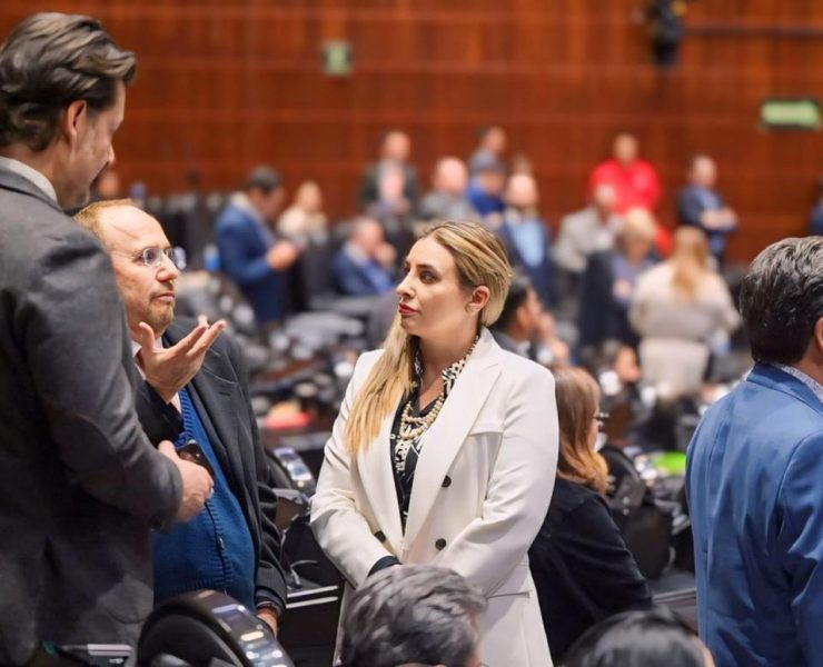 Encabezará Jessica Saidén la Comisión de Seguridad Ciudadana en San Lázaro