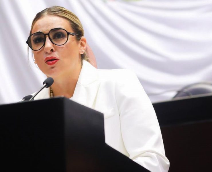 Jessica Saidén toma las riendas de la Comisión de Seguridad Ciudadana en San Lázaro