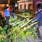 Yucatán después del Huracán Milton: Resiliencia y Esperanza