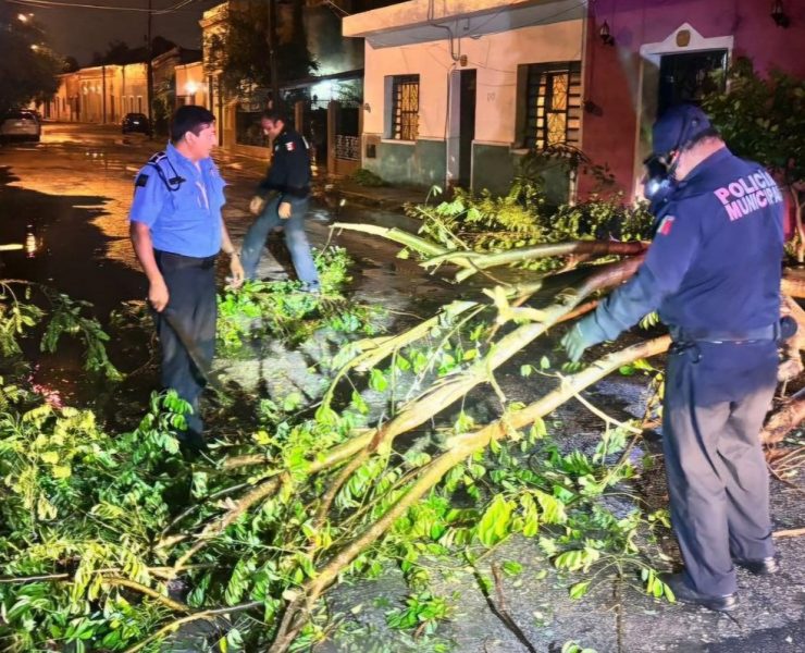 Yucatán después del Huracán Milton: Resiliencia y Esperanza