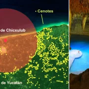 ALERTA YUCATECOS! Agua de Yucatán contaminada produce cáncer