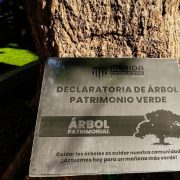 Cuidado del Medio Ambiente en Mérida Una Acción Conjunta