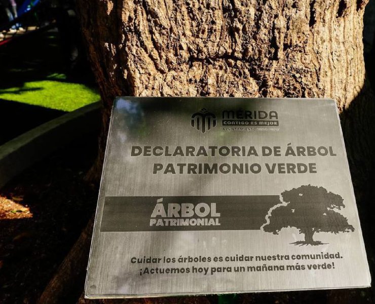 Cuidado del Medio Ambiente en Mérida Una Acción Conjunta