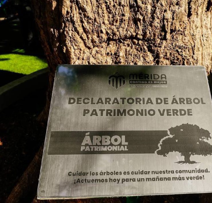 Cuidado del Medio Ambiente en Mérida Una Acción Conjunta