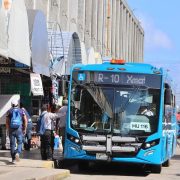 ¡Atención! Reubican paraderos de 7 Rutas de Transporte Público