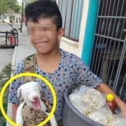 Vende palomitas para alimentar a su perrito: una lección de amor y esfuerzo
