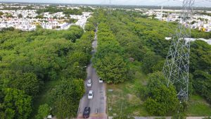 El compromiso del Ayuntamiento de Mérida a cargo de la Presidenta Municipal, Cecilia Patrón, es hacer de Mérida, una ciudad verde. 