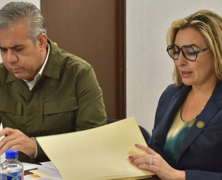 Comisión de Seguridad Ciudadana fortalece la protección a mujeres violentadas con nuevas alianzas