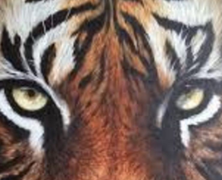 Democracia y medios de comunicación