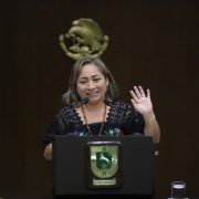 Diputada Alba Cristina Cob impulsa iniciativa
