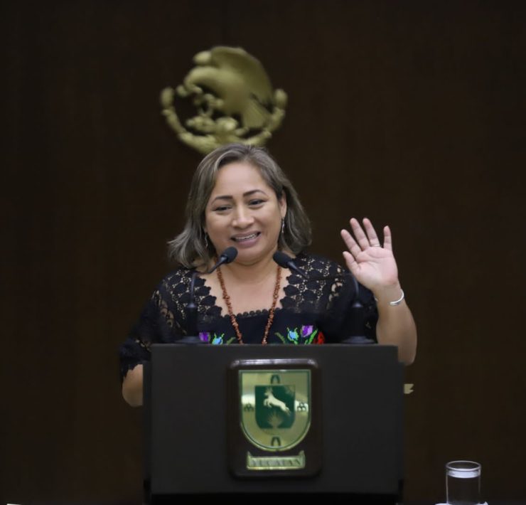 Diputada Alba Cristina Cob impulsa iniciativa