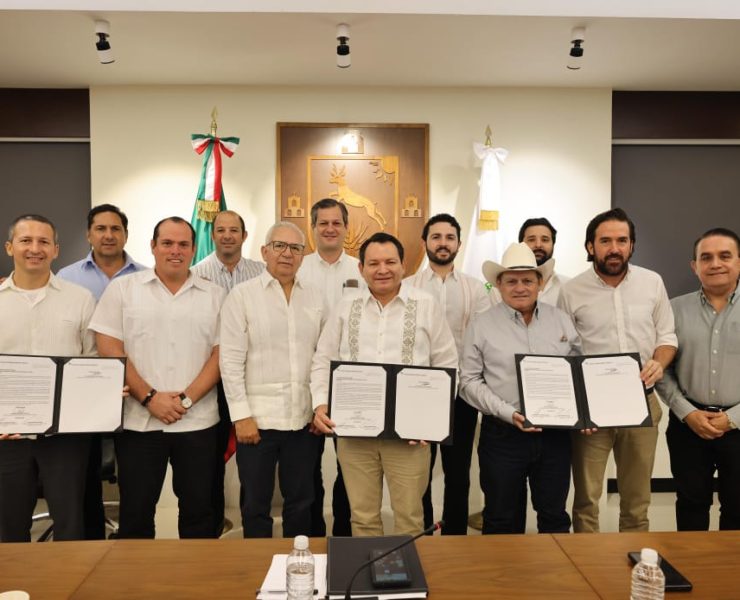 ¡Gran Noticia! Gobernador Joaquín Díaz Mena anuncia inversión privada de 2,600 mdp para Nuevo Parque Eólico