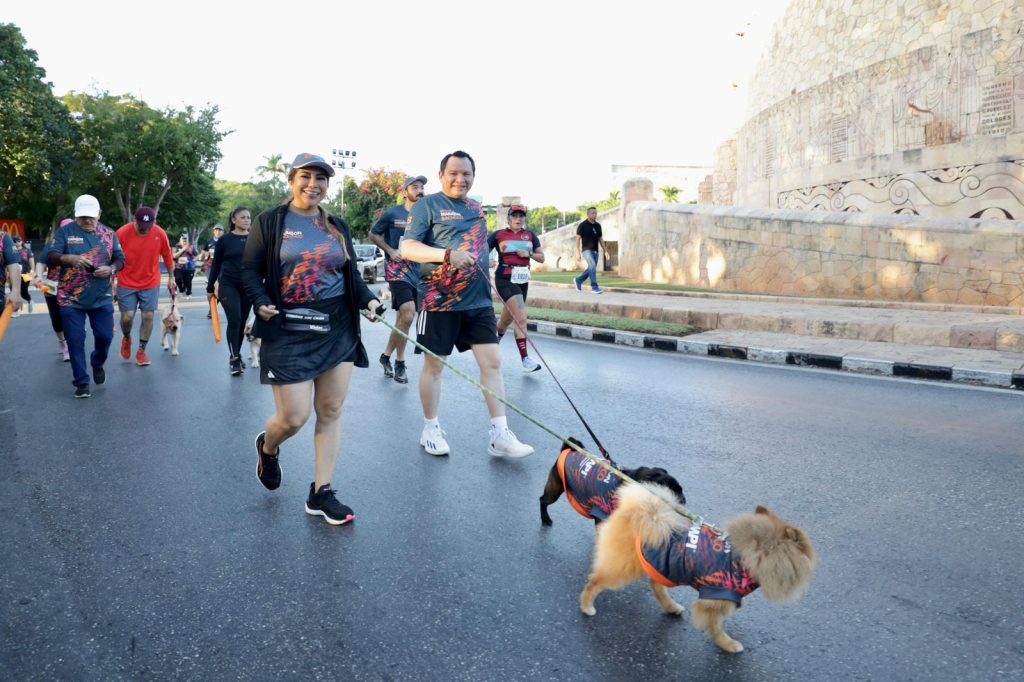 Premios, Solidaridad y Sustentabilidad