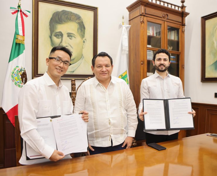 Shijing Solar Power explora inversión en Yucatán: ¿El futuro de las energías renovables?