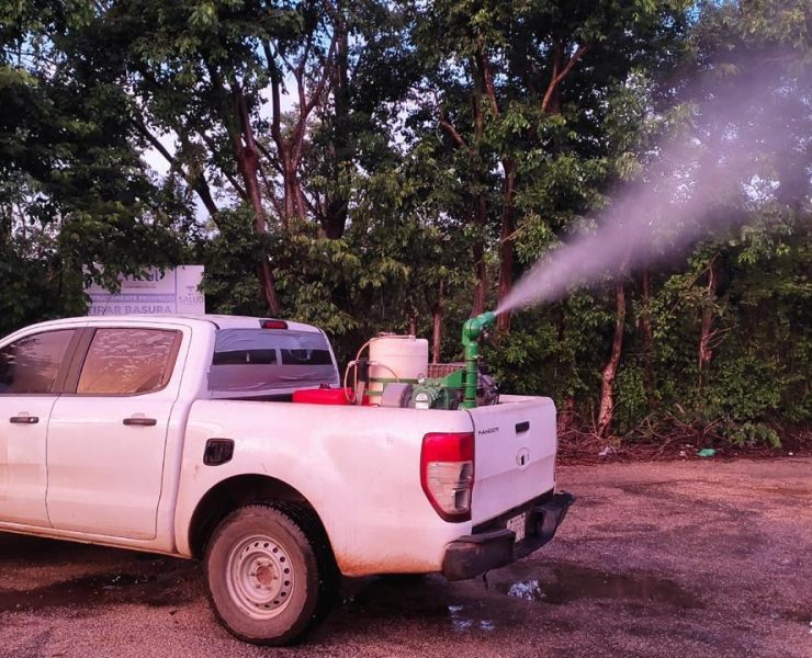 Yucatán refuerza lucha contra Dengue