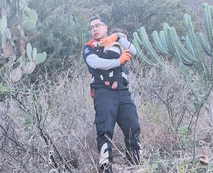 Milagro en Guanajuato: Bebé de 11 meses sobrevive a volcadura, su padre murió