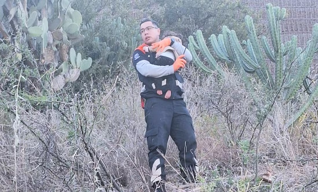 Milagro en Guanajuato: Bebé de 11 meses sobrevive a volcadura, su padre murió