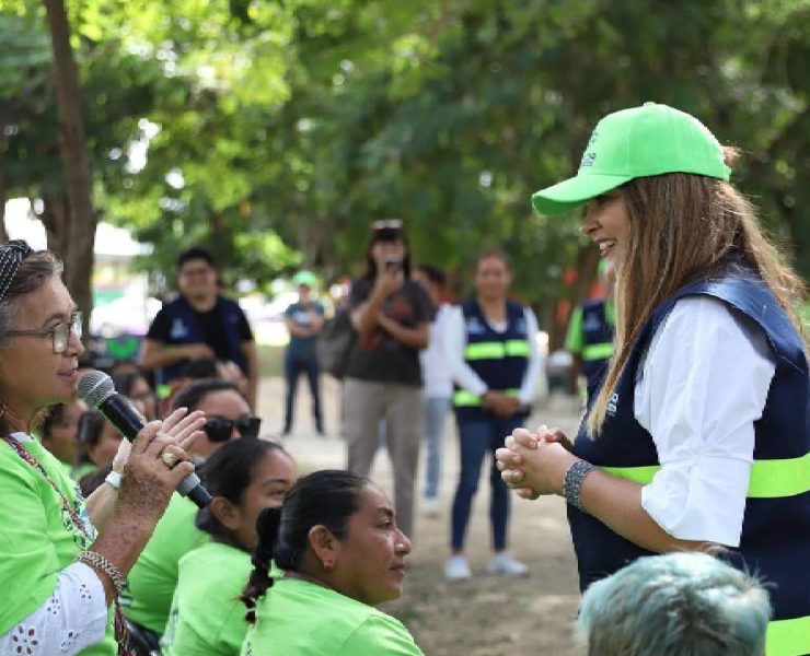 ¿Qué son los Comités de Vecinos Vigilantes en Mérida