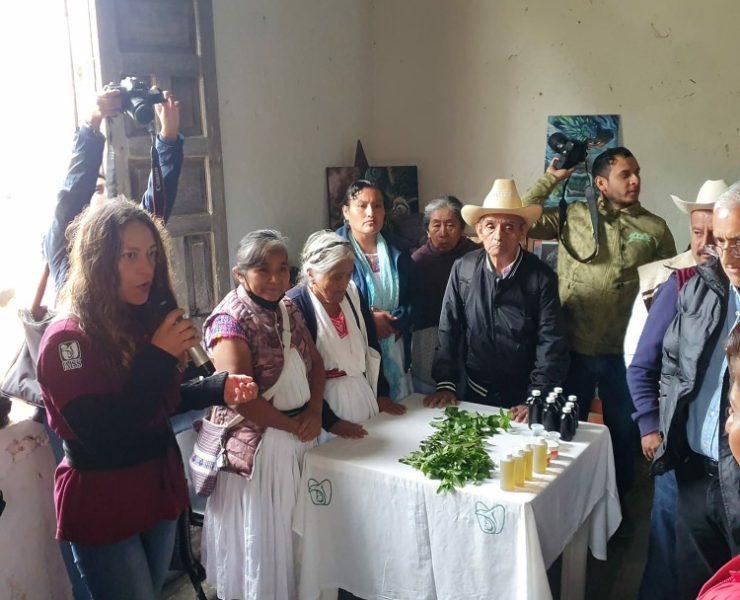 IMSS fortalece la salud integral de comunidades indígenas con enfoque cultural y social