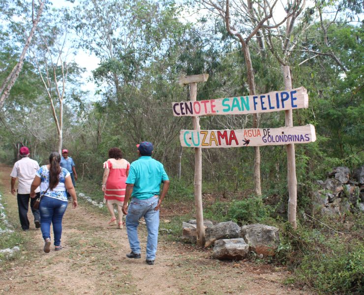 Yucatán: Impulso al Turismo sustentable con modelos colectivos exitosos