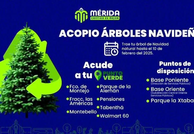 Dónde dejar mi arbolito de Navidad en Mérida: 10 puntos de acopio habilitados para reciclarlo