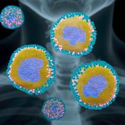 El nuevo virus aparece en Yucatán, primeros casos de metapneumovirus humano