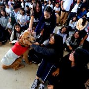 ¡Revolución en las aulas! La Canoterapia llega a las escuelas públicas de Yucatán