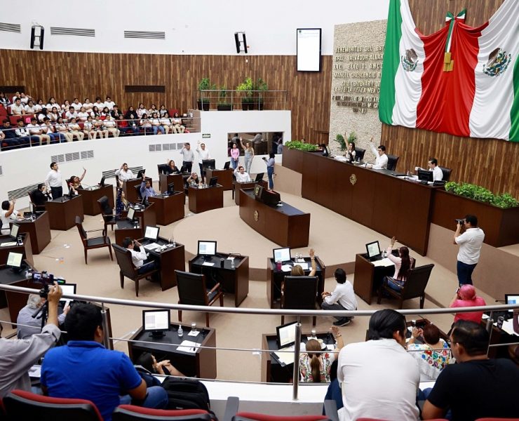 ¡Es urgente! La cruel realidad de la crueldad animal en Yucatán y la lucha por su protección