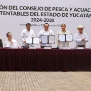 ¡Gran noticia para Yucatán! Más apoyos al sector pesquero y penas más duras por pesca furtiva