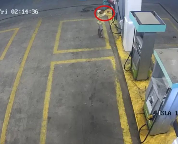(VIDEO) ¡Increíble! Niño de 9 años asalta una gasolinera a mano armada