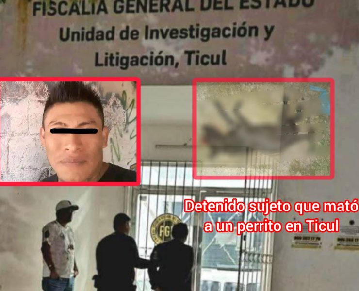 Perro asesinado por drogadicto en Yucatán desata ola de indignación