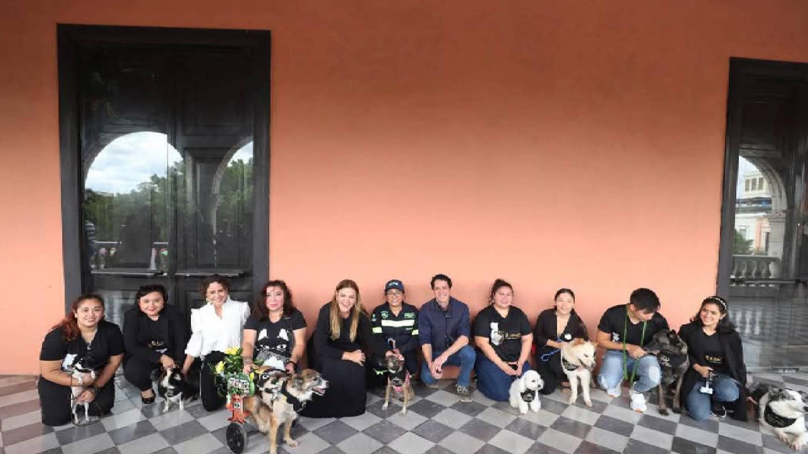 Presentaron a los Reyes caninos del Carnaval: Conócelos y disfruta de la fiesta