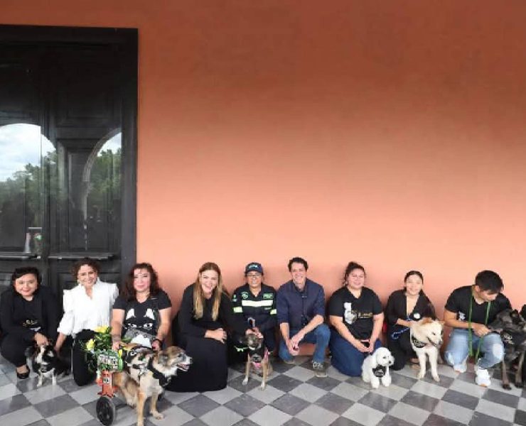 Presentaron a los Reyes caninos del Carnaval: Conócelos y disfruta de la fiesta