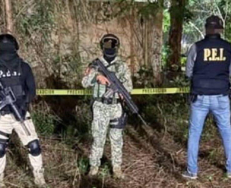 Detalles del Cateo de Droga en Kanasín