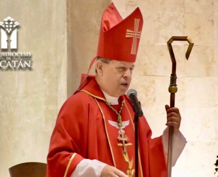 Homilía del V Domingo del Tiempo Ordinario