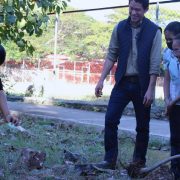 La importancia del Árbol Patrimonio Verde en Mérida