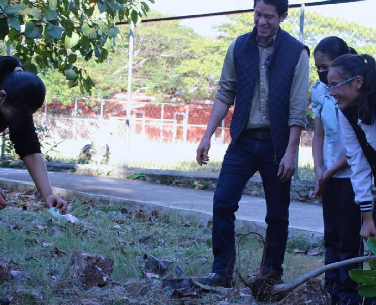 La importancia del Árbol Patrimonio Verde en Mérida