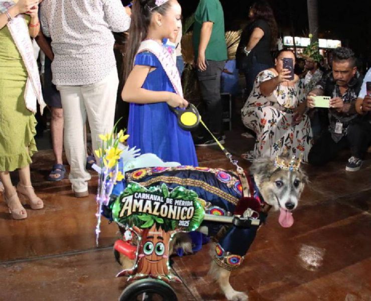 Reyes Perrunos del Carnaval Amazónico 2025 Mérida enloquece con esta elección