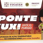 Yucatán preparado para la temporada de incendios: Descubre las estrategias claves