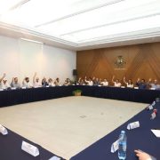 ¡Cuidado del Medio Ambiente en Mérida! Descubre los Planes del Ayuntamiento