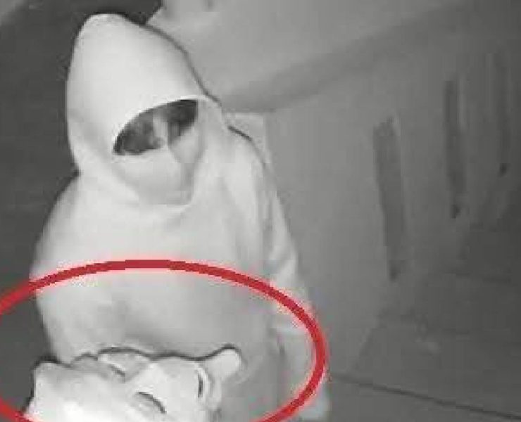 Encapuchados robaron en escuela de Mérida y dejaron caos