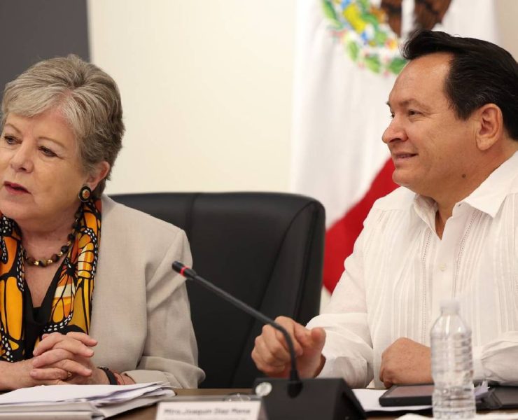 Estrategia de reforestación en Yucatán Un paso hacia un futuro más verde