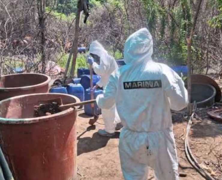 Gran golpe al narcotráfico en dos días Operativo histórico en Sinaloa